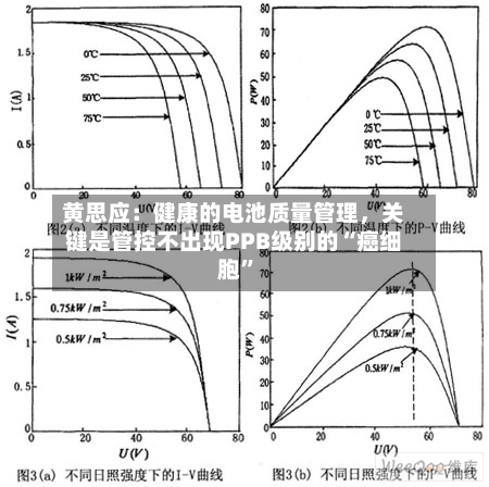 黄思应：健康的电池质量管理	，关键是管控不出现PPB级别的“癌细胞”-第3张图片