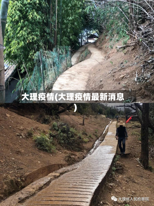 大理疫情(大理疫情最新消息)