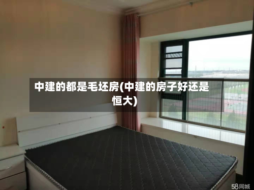 中建的都是毛坯房(中建的房子好还是恒大)