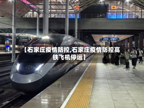 【石家庄疫情防控,石家庄疫情防控高铁飞机停运】-第2张图片