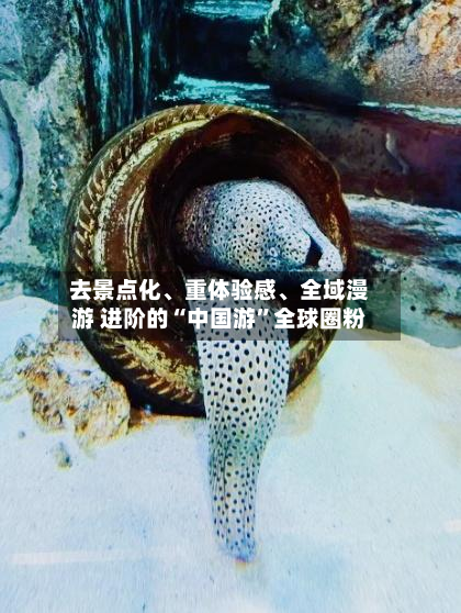 去景点化	、重体验感、全域漫游 进阶的“中国游	”全球圈粉-第2张图片
