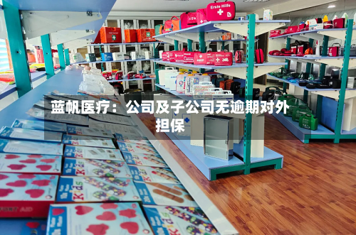 蓝帆医疗：公司及子公司无逾期对外担保-第1张图片