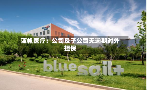 蓝帆医疗：公司及子公司无逾期对外担保-第2张图片
