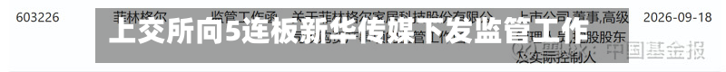上交所向5连板新华传媒下发监管工作函-第1张图片