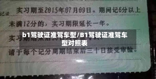 b1驾驶证准驾车型/B1驾驶证准驾车型对照表-第3张图片
