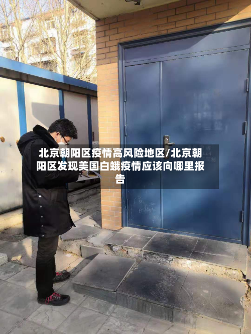 北京朝阳区疫情高风险地区/北京朝阳区发现美国白蛾疫情应该向哪里报告