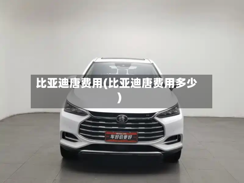 比亚迪唐费用(比亚迪唐费用多少)-第2张图片
