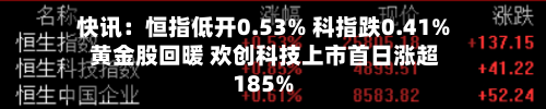 快讯:恒指低开0.53% 科指跌0.41% 黄金股回暖 欢创科技上市首日涨超185%-第1张图片