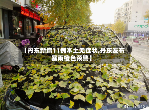 【丹东新增11例本土无症状,丹东发布暴雨橙色预警】-第3张图片