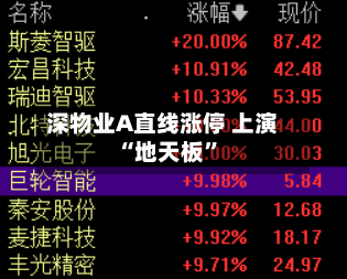 深物业A直线涨停 上演“地天板	”-第3张图片