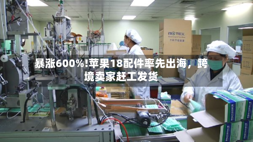 暴涨600%!苹果18配件率先出海，跨境卖家赶工发货-第3张图片
