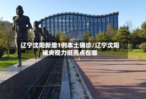 辽宁沈阳新增1例本土确诊/辽宁沈阳被央视力挺亮点在哪-第2张图片