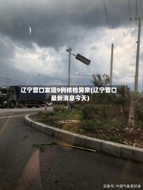 辽宁营口发现9例核检异常(辽宁营口最新消息今天)-第2张图片