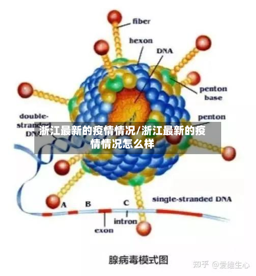 浙江最新的疫情情况/浙江最新的疫情情况怎么样