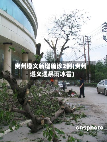 贵州遵义新增确诊2例(贵州遵义遇暴雨冰雹)-第2张图片