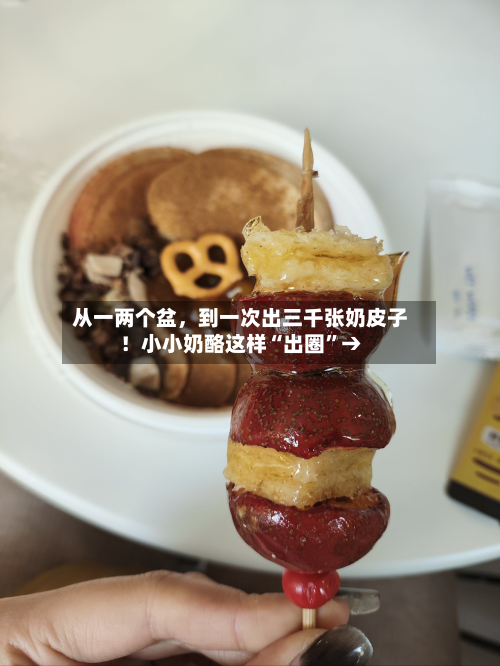 从一两个盆，到一次出三千张奶皮子！小小奶酪这样“出圈”→