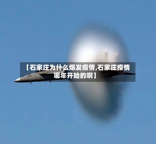 【石家庄为什么爆发疫情,石家庄疫情哪年开始的啊】-第2张图片