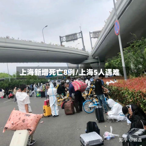 上海新增死亡8例/上海5人遇难