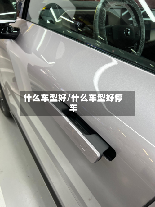 什么车型好/什么车型好停车
