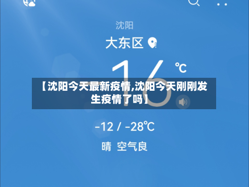 【沈阳今天最新疫情,沈阳今天刚刚发生疫情了吗】-第2张图片