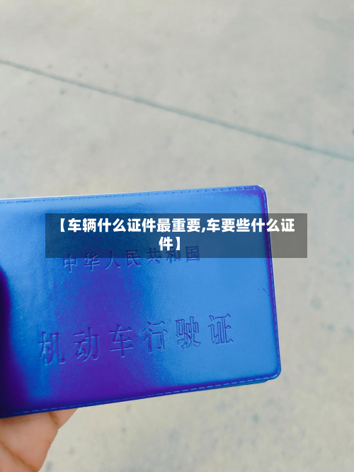【车辆什么证件最重要,车要些什么证件】-第2张图片