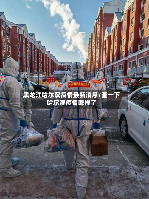 黑龙江哈尔滨疫情最新消息/查一下哈尔滨疫情咋样了
