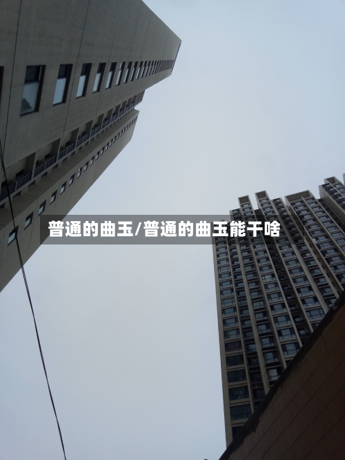 普通的曲玉/普通的曲玉能干啥-第2张图片