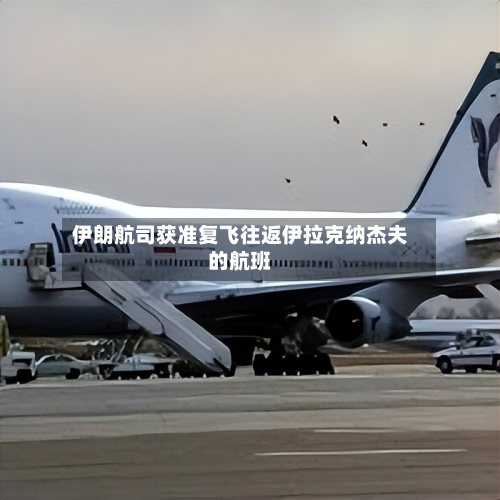 伊朗航司获准复飞往返伊拉克纳杰夫的航班-第2张图片