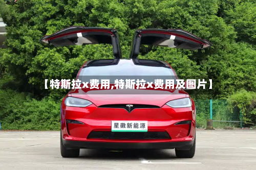 【特斯拉x费用,特斯拉x费用及图片】