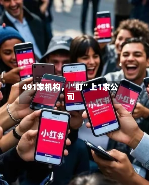 491家机构，“盯”上1家公司-第2张图片