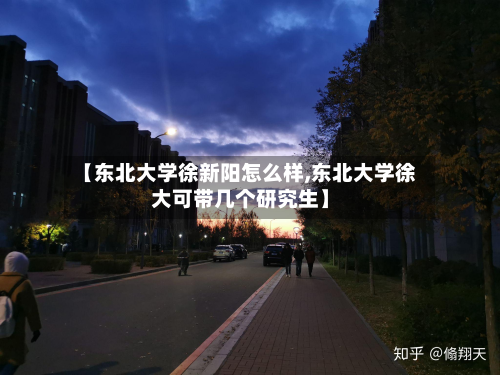 【东北大学徐新阳怎么样,东北大学徐大可带几个研究生】