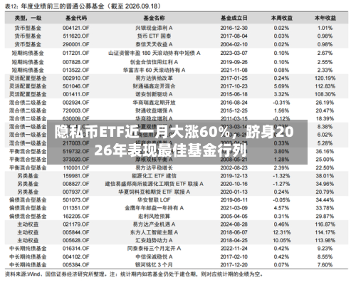 隐私币ETF近一月大涨60%，跻身2026年表现最佳基金行列-第3张图片