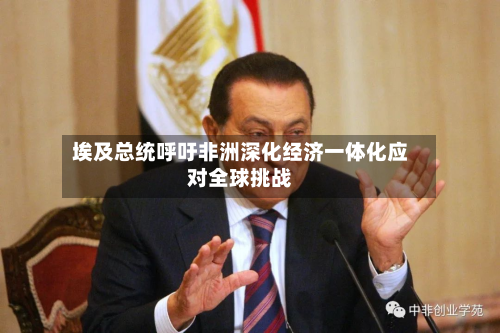 埃及总统呼吁非洲深化经济一体化应对全球挑战-第2张图片