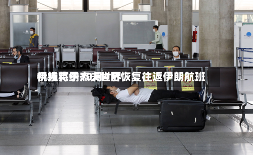伊拉克纳杰夫世界机场将于10月4日恢复往返伊朗航班-第3张图片