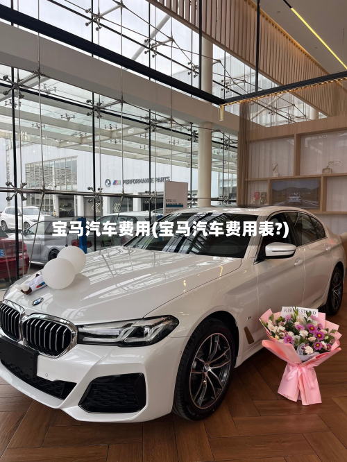 宝马汽车费用(宝马汽车费用表?)