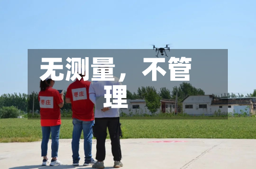 无测量，不管理