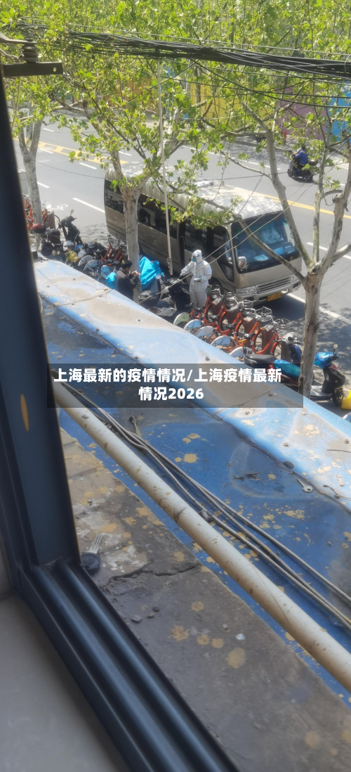 上海最新的疫情情况/上海疫情最新情况2026