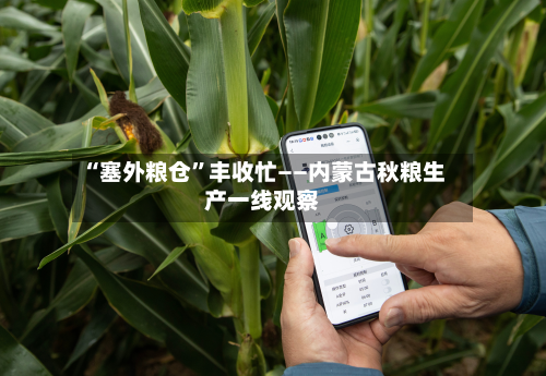 “塞外粮仓”丰收忙——内蒙古秋粮生产一线观察