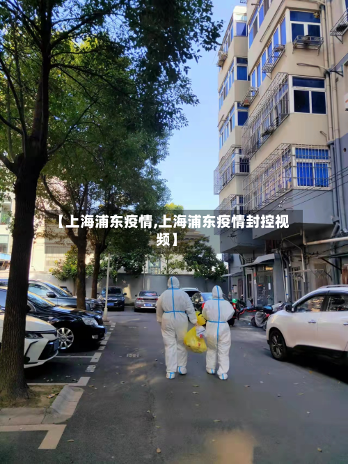 【上海浦东疫情,上海浦东疫情封控视频】