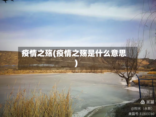 疫情之殇(疫情之殇是什么意思)