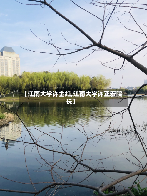 【江南大学许金红,江南大学许正宏院长】