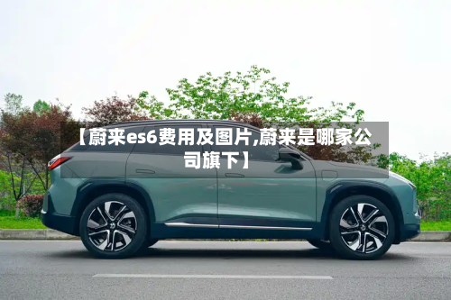 【蔚来es6费用及图片,蔚来是哪家公司旗下】