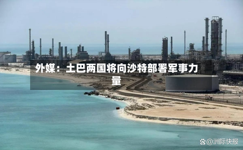 外媒：土巴两国将向沙特部署军事力量