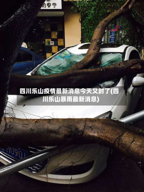 四川乐山疫情最新消息今天又封了(四川乐山暴雨最新消息)