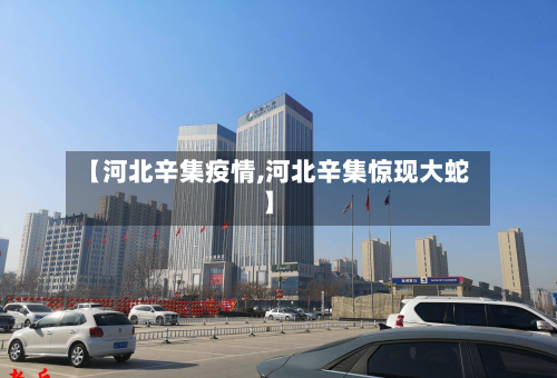【河北辛集疫情,河北辛集惊现大蛇】