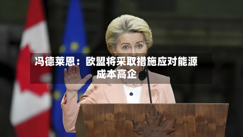 冯德莱恩:欧盟将采取措施应对能源成本高企-第2张图片