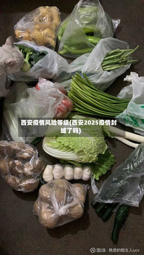 西安疫情风险等级(西安2025疫情封城了吗)-第2张图片