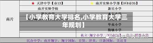 【小学教育大学排名,小学教育大学三年规划】-第2张图片