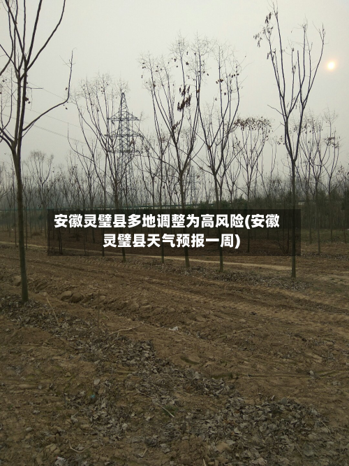安徽灵璧县多地调整为高风险(安徽灵璧县天气预报一周)