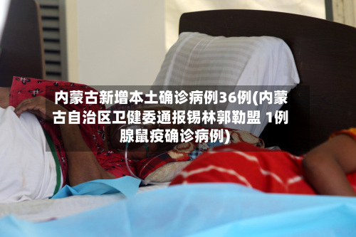 内蒙古新增本土确诊病例36例(内蒙古自治区卫健委通报锡林郭勒盟 1例腺鼠疫确诊病例)-第2张图片